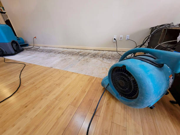 Professional Structural Drying technician working in San Simon, AZ